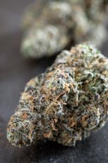 Gush Mintz 7 grams