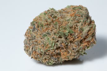 Silver Shelf - Lavender Jones (H)