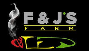 Cosmic Treehouse | CBD Sativa | Pina