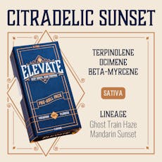 ELEVATE - PINS - PREROLL - 0.5G - 10PK - CITRADELIC SUNSET - SATIVA