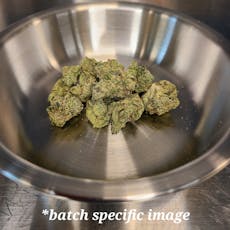 Coastal Healing | Original Glue | Deli Style