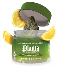 Planta 3.5g H Gelonade