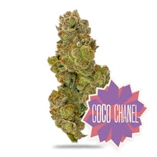 Flower: Grape Gas Gelatti