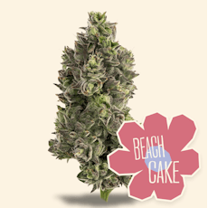 Beach Cake - 3.5g