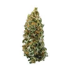 Cannatonic
