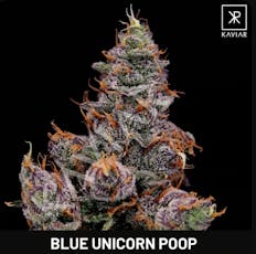 Connoisseur Shelf Kaviar Pineapple Donutz (S) Popcorn 3.5g