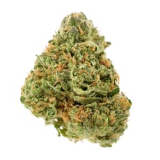 Doja Flower | Orange Z