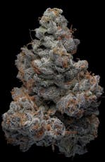 3.5g Banana Cooler Prepackaged Flower Levotic