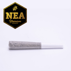 Rotten Rozay Pre-Roll | 0.5g