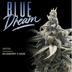 Loud | Blue Dream | 3.5g