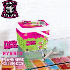 The Fresh Runtz of Hyman Infused Pre-Roll