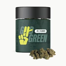 Night Owl Haze