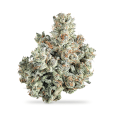 Banana Conda - Shake