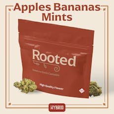 ROOTED - PREPACK - 14G - APPLES & BANANAS MINTS - HYBRID
