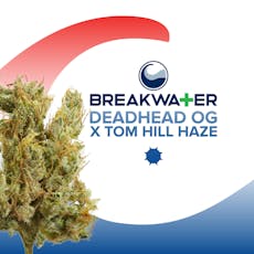 Breakwater - Deadhead OG x Tom Hill Haze - 3.5g Whole Flower