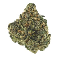 HYH Society | Stuffed Cherry Gelato