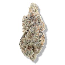 The Deli - Autumn Sunset