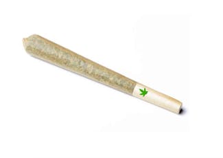 Pre Roll - Biscotti (.5 gram)