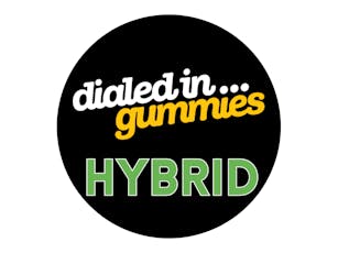 Dialed In Classic Rosin Gummies - Hula Berry - Hybrid 100mg