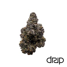 (DRIP) Top-Shelf small bud 1/2oz (Sherb Pie)