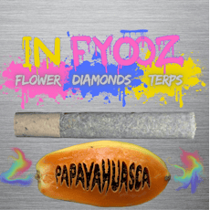 In"Fyooz Distillate Infused Preroll (1.0g) Papayahuasca