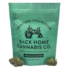 Back Home Cannabis Co | Jack Herer | 14g | Flower