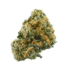 Authorized Dealers - Dreamsicle - 28G Mixed Bud