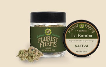 FLORIST FARMS | LA BOMBA | FLOWER | 7G