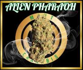 Mint Premium 3.5g - Alien Pharaoh