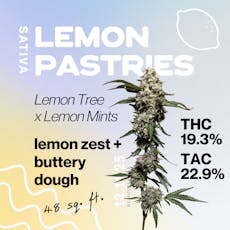Lemon Pastries