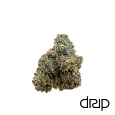 (DRIP) Top-Shelf Flower 3.5g (Sherbanger OG)