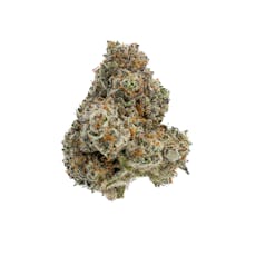 Premier Tier - Space Cowboy