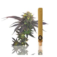 Left Coast | Maui Waui (Sativa) | 2g Infused Blunt Preroll | 43.7% THC