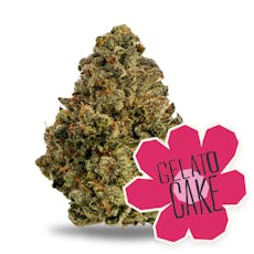 Gelato Cake - 14g - District Cannabis