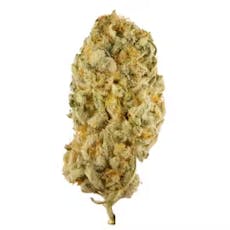 Seed And Smith | Flower | Pineapple Donut | S