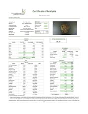 Khalifa Kush | Violet Sky | Pre-Roll 1g