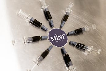 Mint - 1g RSO Syringe - Full Spectrum