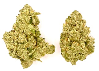 Prepack | Holy Grail