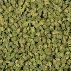 Pave | 14G | SMALLS & UNTRIMMED