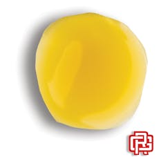 Dutch Treat Budder Extract | 1g (Live Resin)