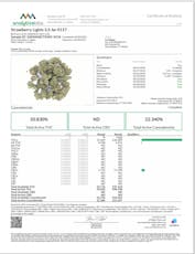 Strawberry Lights 3.5 Jar 0117 THC 20.82%