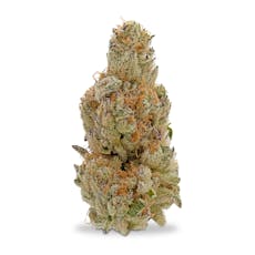 Kaprikorn - Chimera Junky