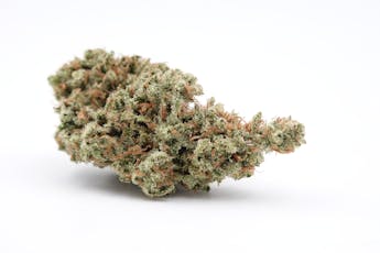 Megafauna #4 - Deep Creek Gardens (S)