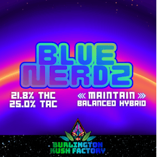 Burlington Kush's Blue Nerdz- Deli Style