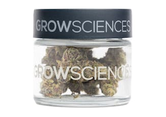 Grow Sciences Jar 3.7g Banana Cream Cake x Jealousy (H)
