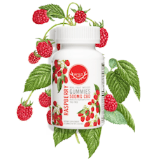 Raspberry CBD Gummies 20pc | 500mg