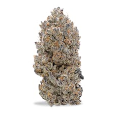 Urban Canna - Yummy Yummy