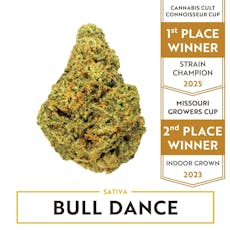 Bull Dance