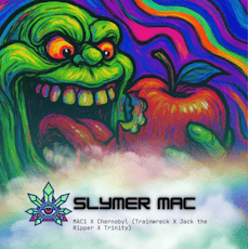 Slymer Mac - A Bud Bulk