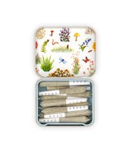 Double Infused MIDNIGHT SHERBET | 14-Pack